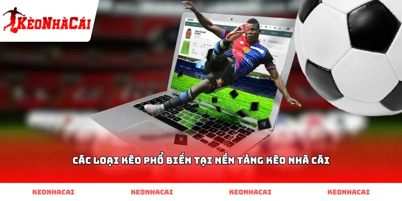 Các loại kèo phổ biến tại nền tảng kèo nhà cái