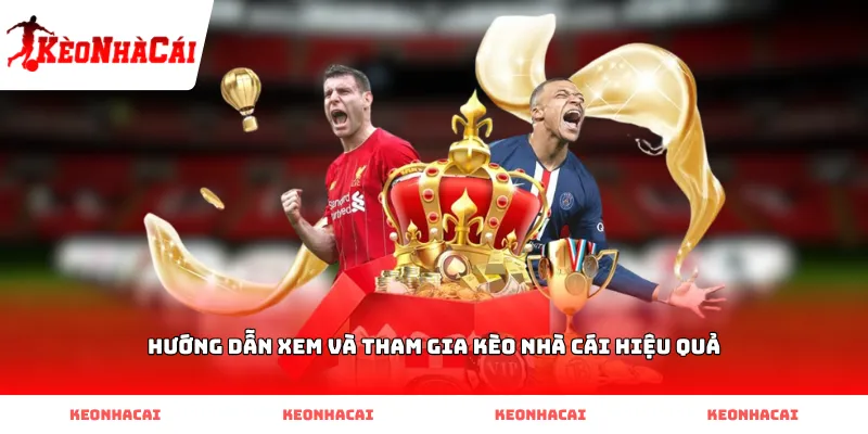 Hướng dẫn xem và tham gia kèo nhà cái hiệu quả